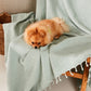 Waffle Cotton Blanket - Mint