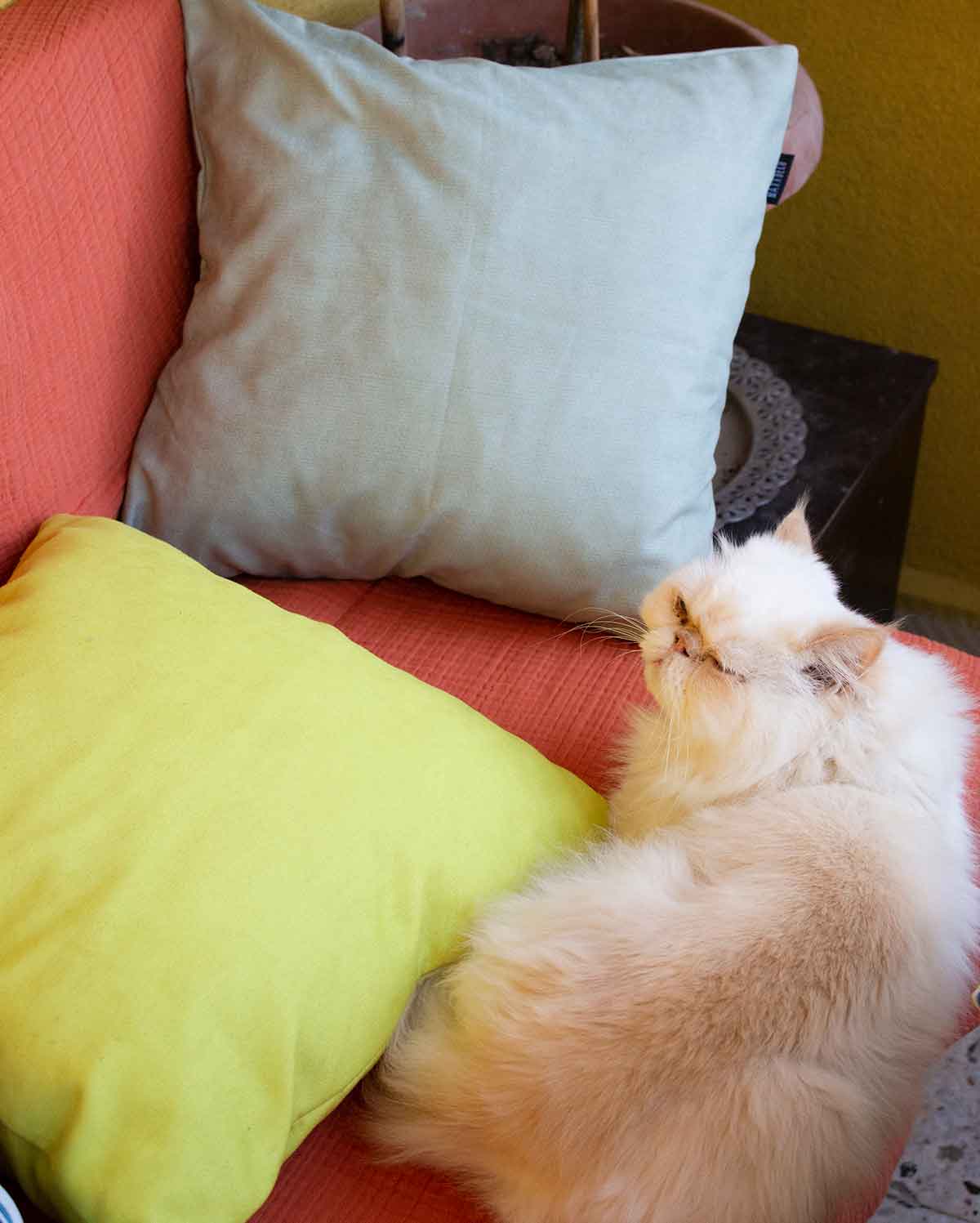 Pastel Cushion Cover - Yellow