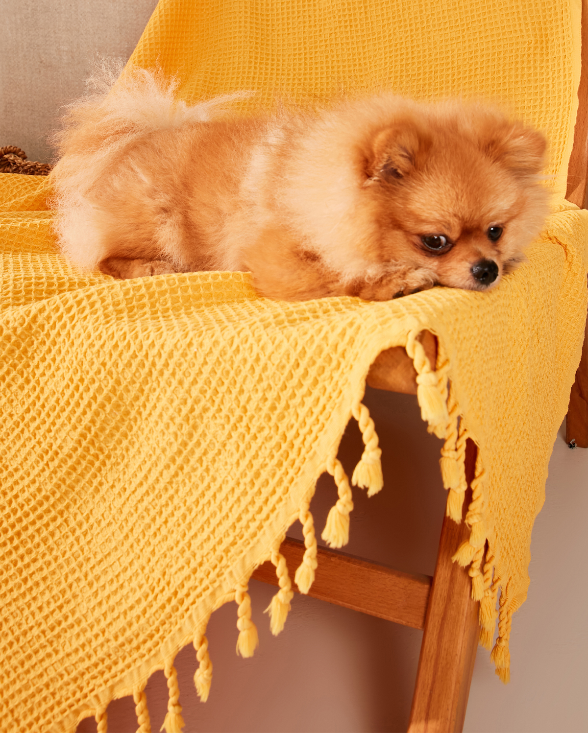 Waffle Cotton Blanket - Yellow