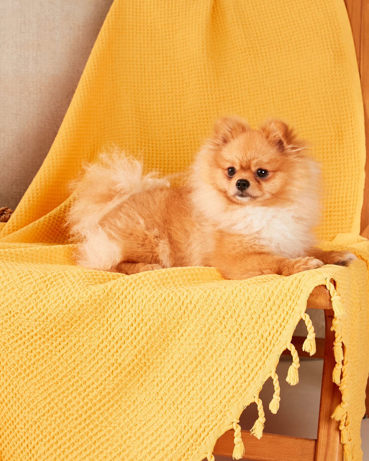 Waffle Cotton Blanket - Yellow